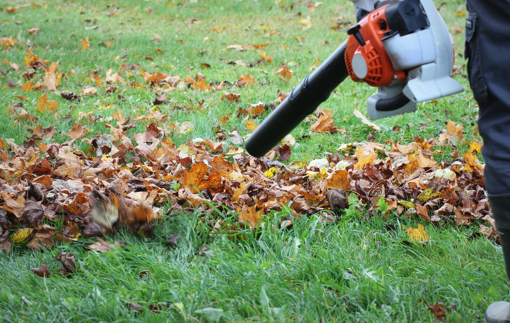 Worker Cleaning Leaves with a Blower 