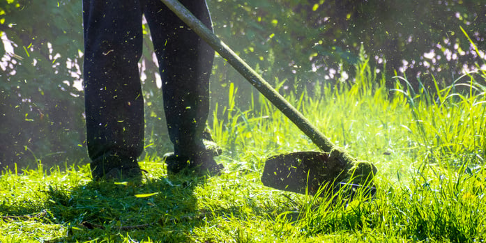 lawn care maintenance.